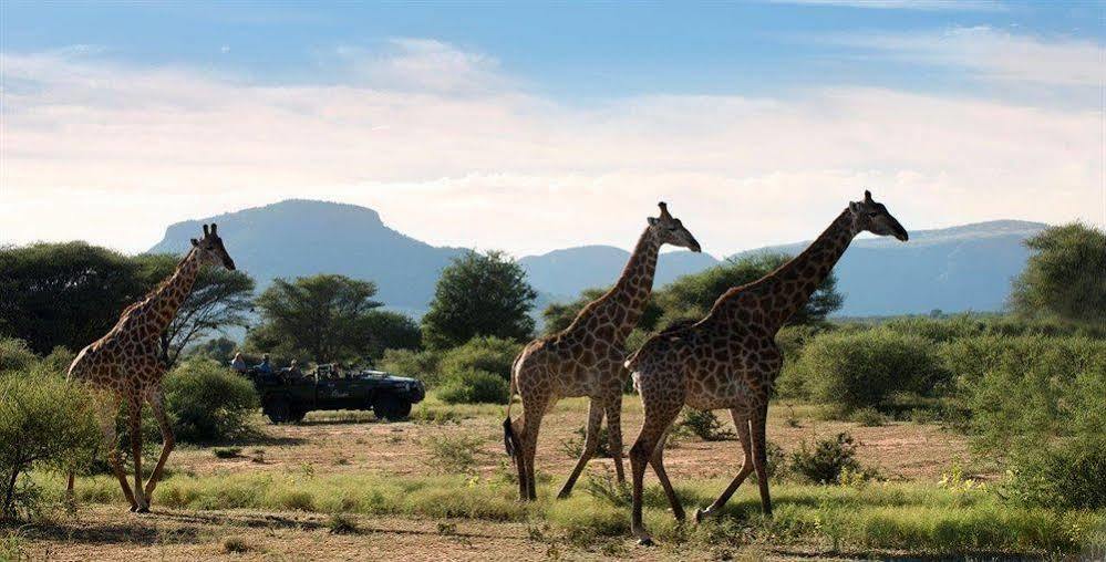 فندق Marataba Safari Co Marakele National Park المظهر الخارجي الصورة