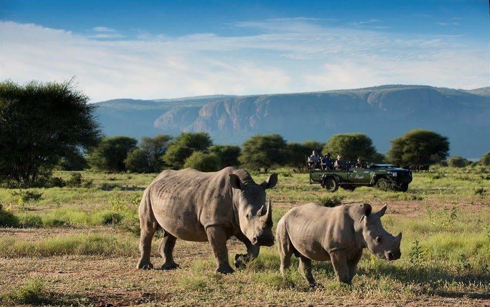 فندق Marataba Safari Co Marakele National Park المظهر الخارجي الصورة