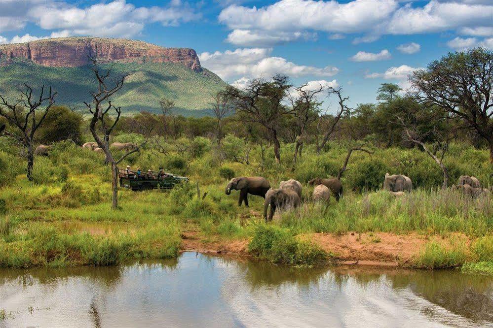 فندق Marataba Safari Co Marakele National Park المظهر الخارجي الصورة