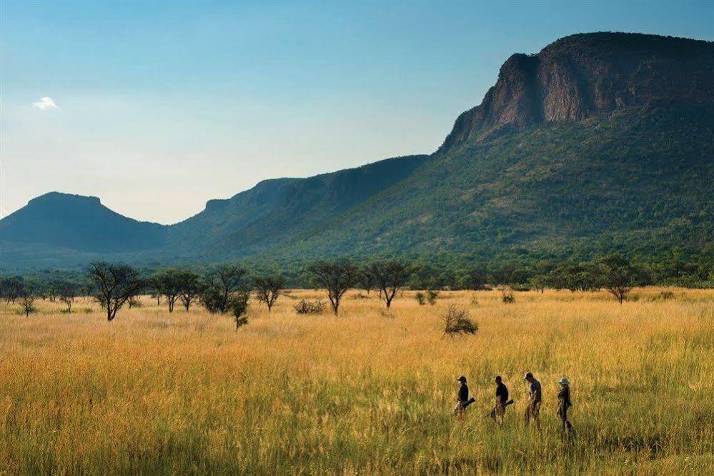 فندق Marataba Safari Co Marakele National Park المظهر الخارجي الصورة