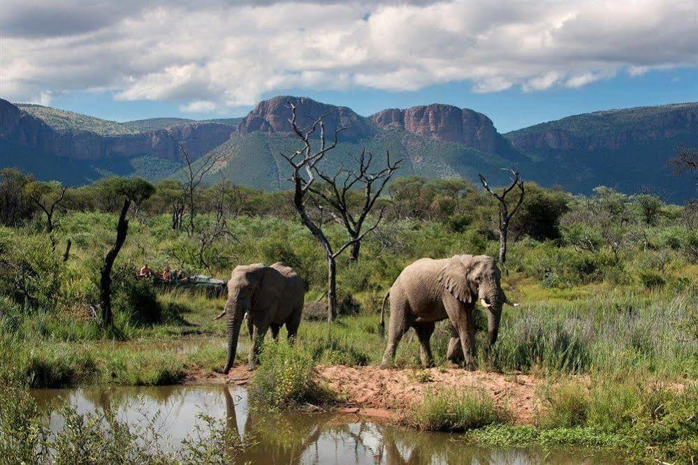 فندق Marataba Safari Co Marakele National Park المظهر الخارجي الصورة